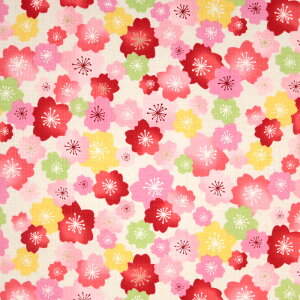 ᖳVsL₢͍ hr[n a ԕ aG Gݏ В r Jo[ obO  zn 50cmP