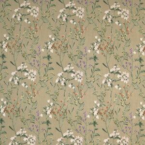 E[30CRWrG {^jJ }Ki 30CRWrGn s[X rG gbvX H~ lC {^jJ zn 50cmP