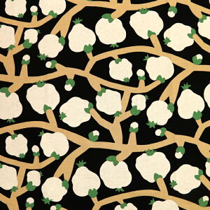 ᖳVsL₴ ȖLoXn ʕ UN 킢 g  obO f XJ[g n nhCh ٖD | zn 50cmP