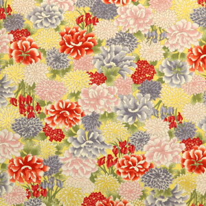  ࣖ S㇗ }Ki V[`On a ԕ  D ؂₩  Gv obO aG В nhCh | zn 50cmP