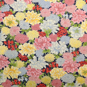  ࣖ S㇗ }Ki V[`On a ԕ  D ؂₩  Gv obO aG В nhCh | zn 50cmP