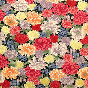  ࣖ S㇗ }Ki V[`On a ԕ  D ؂₩  Gv obO aG В nhCh | zn 50cmP