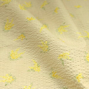 ᖳVsL₳炳 mimosa bvn pc uEX XeeR ThX pW} đf ~U ԕ eqR[f nhCh zn 50cmP