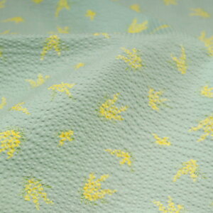 ᖳVsL₳炳 mimosa bvn pc uEX XeeR ThX pW} đf ~U ԕ eqR[f nhCh zn 50cmP