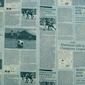 ᖳVsLNEWS PAPER IbNXn V p lC At@xbg  w obO Gv nhCh | ٖD zn 50cmP