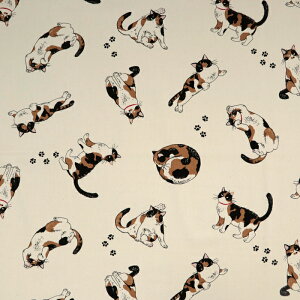 ᖳVsLOєLTime IbNXn L  obO Gv \[CO nhCh | ٖD zn 50cmP