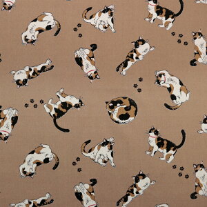 ᖳVsLOєLTime IbNXn L  obO Gv \[CO nhCh | ٖD zn 50cmP