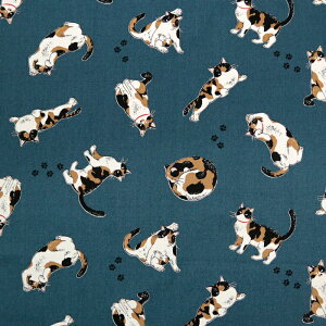 ᖳVsLOєLTime IbNXn L  obO Gv \[CO nhCh | ٖD zn 50cmP