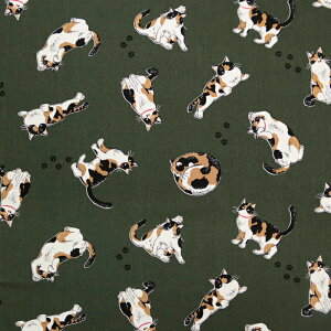 ᖳVsLOєLTime IbNXn L  obO Gv \[CO nhCh | ٖD zn 50cmP