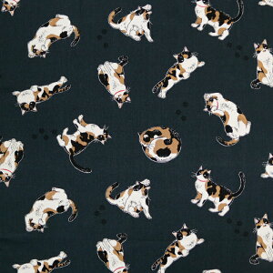 ᖳVsLOєLTime IbNXn L  obO Gv \[CO nhCh | ٖD zn 50cmP