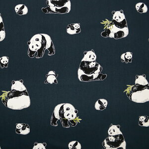 ᖳVsLp_eq IbNXn ς lC  obO 킢 nhCh ٖD | Gv zn 50cmP