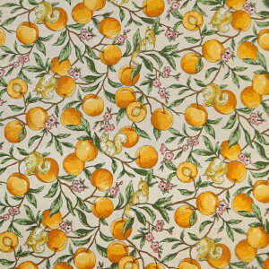 ᖳVsL⃊XƉʎ V[`On t[c 肷 ԕ g  l n Vc uEX nhCh ٖD | Gv zn 50cmP