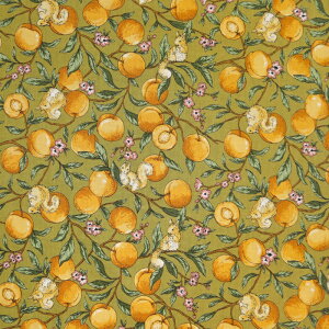 ᖳVsL⃊XƉʎ V[`On t[c 肷 ԕ g  l n Vc uEX nhCh ٖD | Gv zn 50cmP