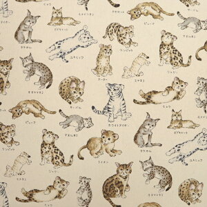 ᖳVsLlR }ӃV[Y IbNXn L qL LD cat lC obO CeA nhCh | ٖD zn 50cmP