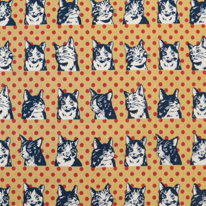 CAT&DOT IN THE POP WORLD }Ki V[`On L POP hbg _ uEX Vc lC  G LD nhCh | zn 50cmP