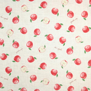 ᖳVsLdear Apple V[`On  S Abv 킢 uEX Vc  w LD lC nhCh ٖD zn 50cmP