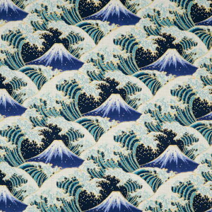 ᖳVsLxmRƔg hr[n xm a | g AnVc  aG XeeR r nhCh ٖD zn 50cmP