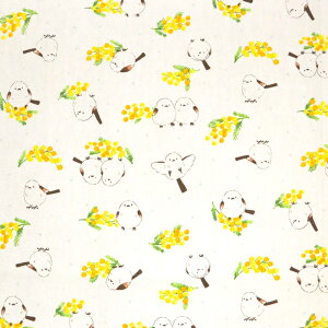 ᖳVsL~UƃV}GiK IbNXn  lC V}GiK  w obO Gv ~U mimosa nhCh ٖD zn 50cmP