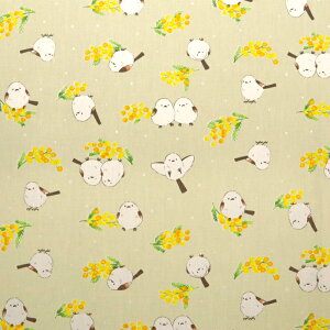 ᖳVsL~UƃV}GiK IbNXn  lC V}GiK  w obO Gv ~U mimosa nhCh ٖD zn 50cmP