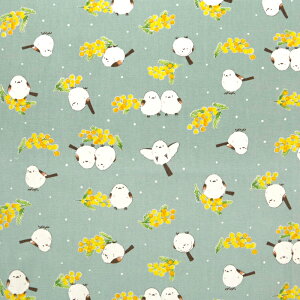 ᖳVsL~UƃV}GiK IbNXn  lC V}GiK  w obO Gv ~U mimosa nhCh ٖD zn 50cmP