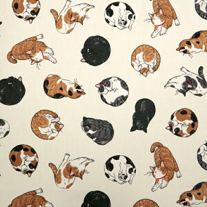 ᖳVsLЂ˔L IbNXn L L OєL LD obO Gv lC nhCh ٖD  zn 50cmP