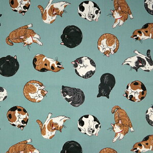 ᖳVsLЂ˔L IbNXn L L OєL LD obO Gv lC nhCh ٖD  zn 50cmP