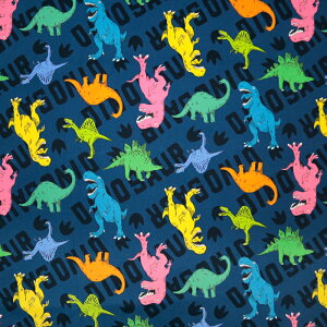 ᖳVsLColorful Dinosaur IbNXn  Jt POP  w wZpi Gv G nhCh ٖD  zn 50cmP