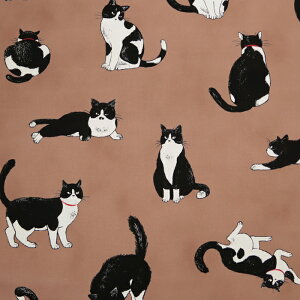 ԂL }Ki IbNXn L u` CAT obO Gv LD nhCh  ٖD zn 50cmP