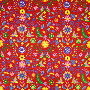 LVRhJ un/no }Ki V[`On hJ ԕ Mexico _ IG^ n gx nhCh  ٖD zn 50cmP