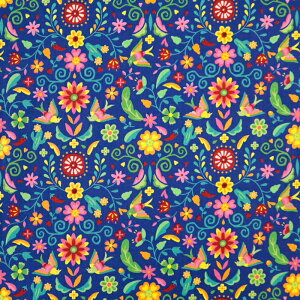 LVRhJ un/no }Ki V[`On hJ ԕ Mexico _ IG^ n gx nhCh  ٖD zn 50cmP