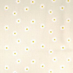 ᖳVsLfCW[ IbNXn ؍ L[g POP ؗ obO Gv G lC ԕ nhCh   |[` Jt w zn 50cmP