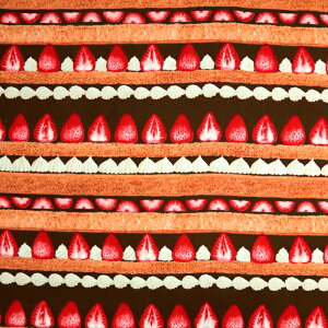 ᖳVsL䕃V[gP[L {[_[ IbNXn cake 킢 V[gP[L 䕕 Gv В wZ  w nhCh | ٖD zn 50cmP