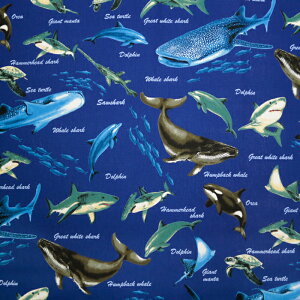 ᖳVsL␅ IbNXn WxCU CJ T D C̒  w w nhCh ٖD  zn 50cmP