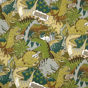 ᖳVsLDinosaur Powerful Animal IbNXn  Jt  w XN[obO bXobO nhCh ٖD d  lC POP zn 50cmP