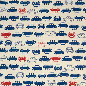 ᖳVsLCars Simply palette IbNXn ԕ  w wZ obO Gv В nhCh |  ٖD zn 50cmP