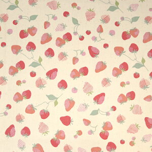 ᖳVsLMansikka NINA IbNXn t[c ʕ lC  obO Gv k  w w nhCh ٖD  zn 50cmP