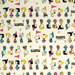 ᖳVsLSnoopy p[h IbNXn Xk[s[ peanut  w obO Gv lC nhCh | ٖD zn 50cmP