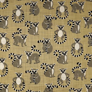 ILclU }Ki lCNXun  Aj} 킢 lC CeA nhCh ٖD | G Gv obO zn 50cmP