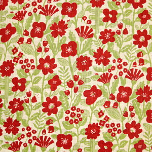 Blossom }Ki lCNXun ԕ Flower {^jJ nhCh ٖD | G Gv obO zn 50cmP