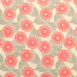 ᖳVsL`AfCW[ ȖLoXn fCW[ ԕ LoX Gv obO n nhCh ٖD | zn 50cmP