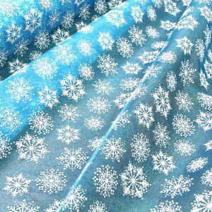 n I[KW[n ̌_u ( Ai ߑ wbhhX  wAANZT[ ̌ ~ zn ) 50cmP