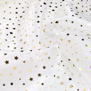 n I[KW[n ̃Xe[W_u ( star Cxg RXv ߑ \  p[eB nEB zn ) 50cmP