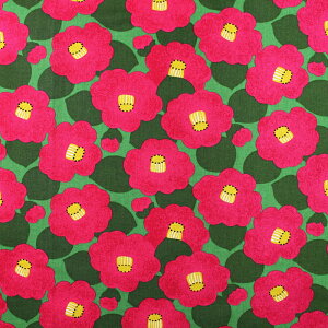 ᖳVsL␶n ֕P ȖLoXn ( coL  nhCh G CeA zn ) 50cmP