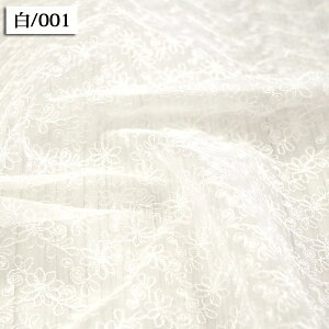 n t[ I[KW[AO[Xn (  Cxg ߑ CeA CN EGfBO zn ) 50cmP