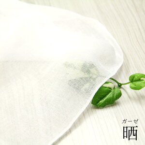 n n 炵 K[[N31cm×10m (1) K[[N ( nn z ӂ _Vhz @ @ Ic 悳 ӂǂ Ղ n zn z ) ̔
