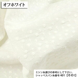 ᖳVsLhJnRx̉-H2034 LubNn hJ uEX `jbN XJ[g s[X n zn 50cmP