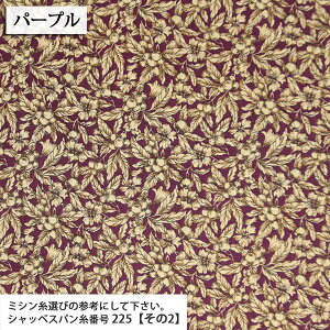 ƉԂ u[hn ( ԕ t[ ʎ uEX `jbN nhCh nhChl zn ) 50cmP