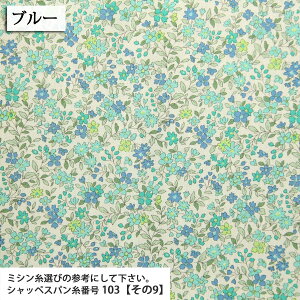 ᖳVsL␶n ԕ XvOt[ u[hn ( ԕ  nhCh G CeA zn ) 50cmP