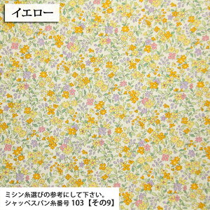 ᖳVsL␶n ԕ XvOt[ u[hn ( ԕ  nhCh G CeA zn ) 50cmP