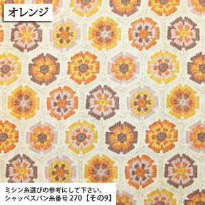 ĵԔ V[`On ( jbg Җ j Gv obO |[` В nhCh zc zn ) 50cmP